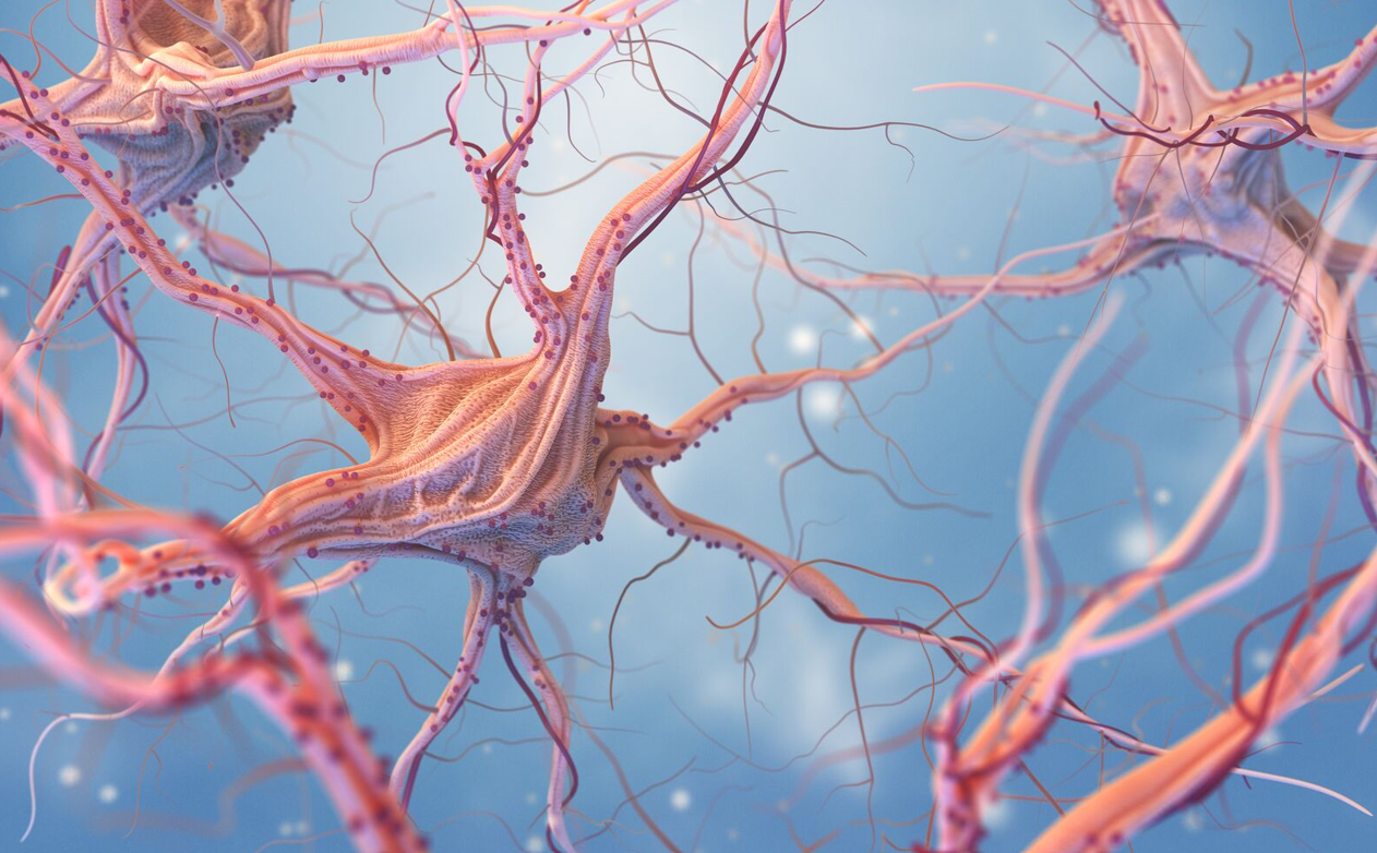Systems Biology
